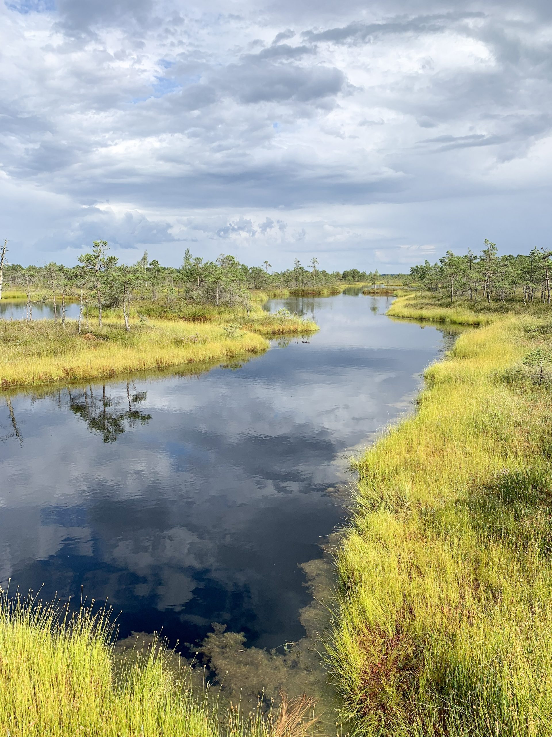 Great Kemeri Bog Boardwalk - The Best Thing To Do in Jurmala, Latvia | lifestyletraveler.co | IG: @lifestyletraveler.co