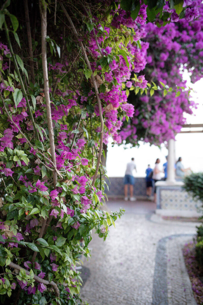 Miradouro de Santa Luzia